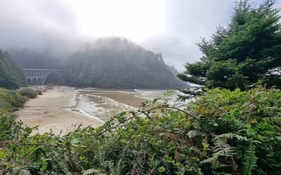 This Peaceful Oregon Coast Park Might Be the Best-Kept Secret Between Yachats and Florence