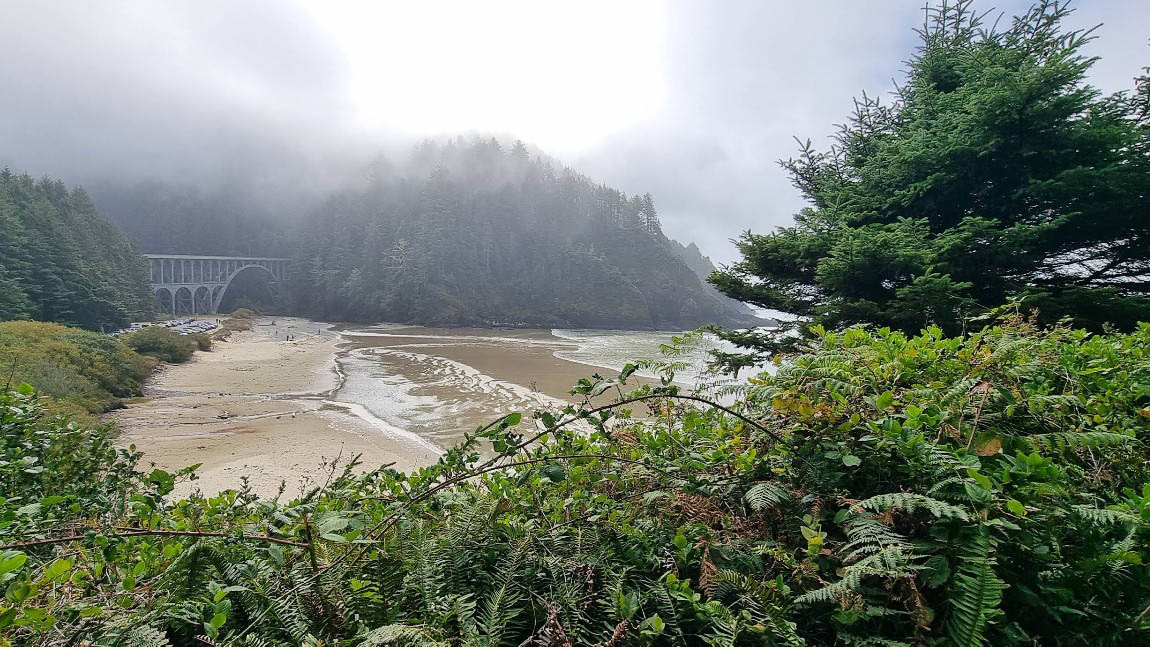 Screenshot 2026-05-07 090641–MAIN Carl G. Washburne State Park, Oregon Coast, PNW, Central Coast Beaches, hiking, whale watching, camping, RV sites, Yurts, Heceta Head, Cape Perpetua, Hobbit Trail, wildlife, pacific northwest, adventures, family fun, things to do, where to go, Yachats, Florence