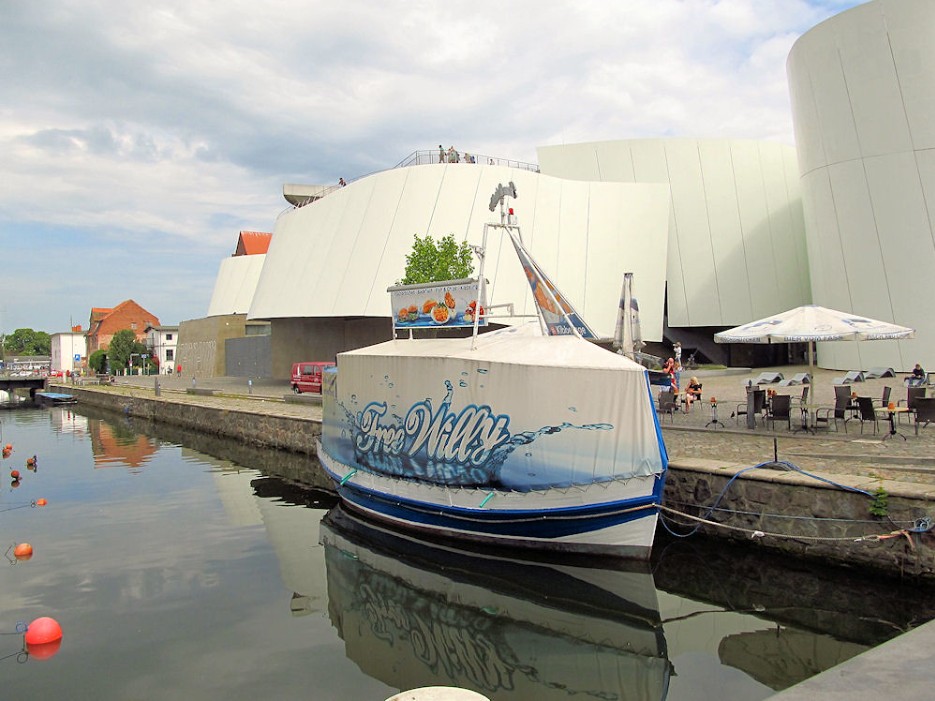 keiko, killer whale, orca, free willy movie, true story, oregon coast aquarium, newport
