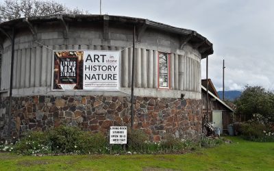 This Small Town Oregon Rock Shop Feels Like A Mini Museum Of Natural Wonders
