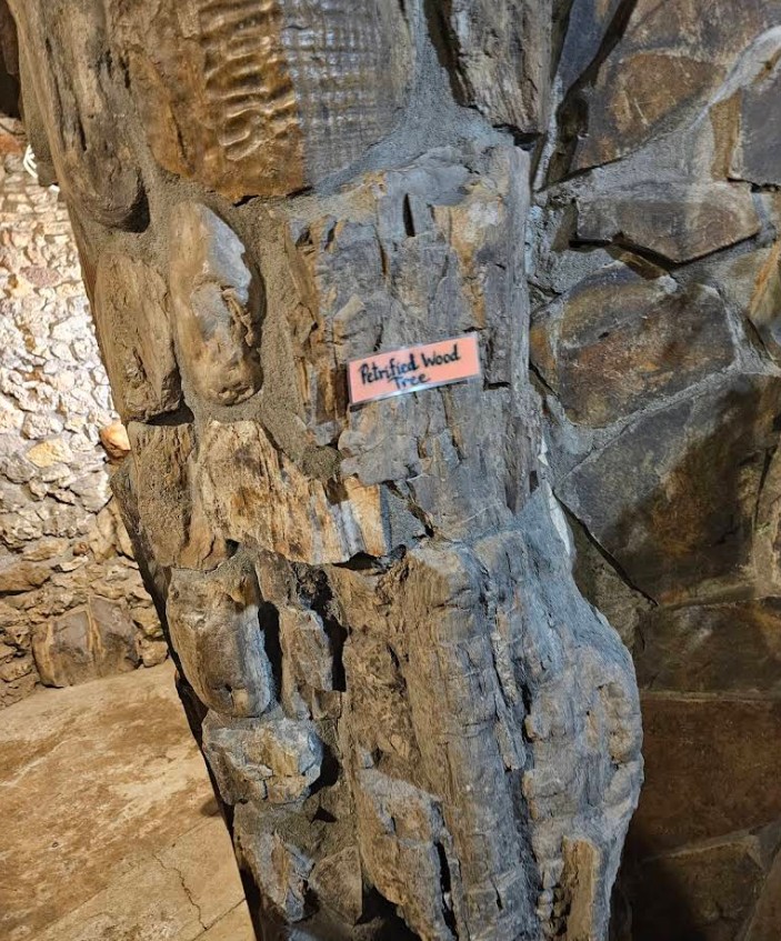 Living Rock Studios, Brownsville Oregon, Rocks and Minerals Museum, Willamette Valley, Rockhounding, Roadside Attractions, Things To Do, Family Fun, Good Places for Kids, Logging History, Exhibits, Petrified Wood, Jasper, Agates, Thunder Eggs