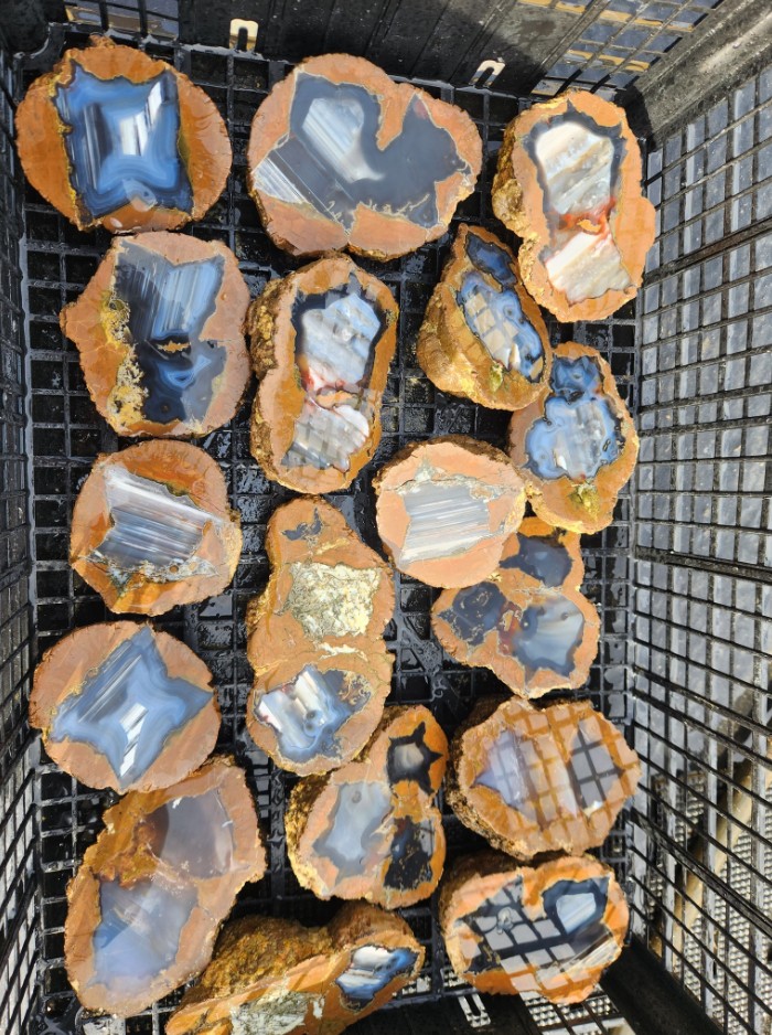 Prineville Rockhound Pow Wow Show, 2026, Oregon Rocks, Gem and Mineral Display, Central and Eastern Oregon, Crook County Fairgrounds, Family Fun, Road Trips, Things To Do, Upcoming Events, Thunder Eggs, Jasper, Treasures, Agates, Opal, Vendors, Auction, Handmade Jewelry, Petrified Wood, Crystals