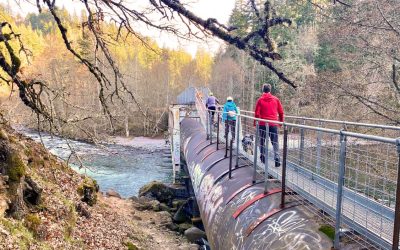 Hike Oregon’s Most Fascinating Secret Trail Through Catwalks, Pipelines, And Forgotten Ruins