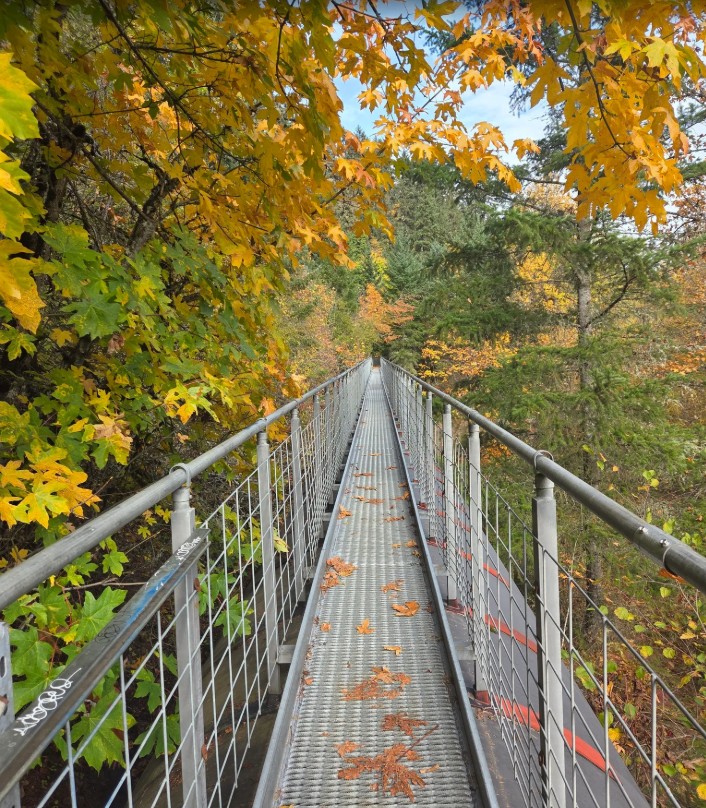 Penstock Flume Pipeline Trail, Hood River Oregon, Columbia River Gorge, Hidden Trailheads, Unique Hikes, Oregon History, Abandoned Places, Railroad Trails, Dog Friendly, PNW, Pacific Northwest, Easy Hikes, Out and Back