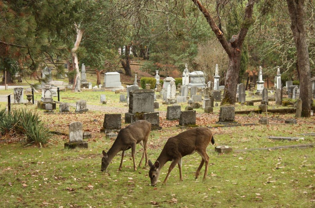 Jacksonville Oregon, Historic Places, Gold Rush Town, Things to Do, Trolley Tours, Britt Festival, Christmas Parade, Downtown, Panning For Gold, Forest Park, Old Cemetery, Southern Oregon, National Register, Wine Tours, Applegate Valley