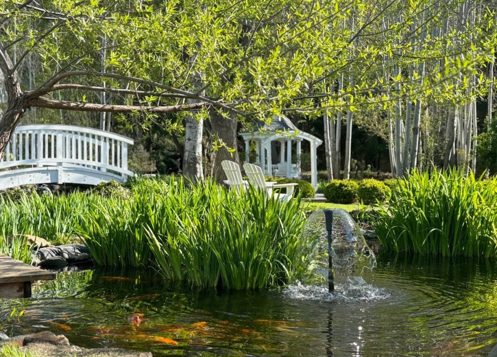 Lithia Springs Resort, Ashland, Southern Oregon, Natural Mineral Water, Soaking Pools, Wellness Spa, Wine Tasting, Wedding Venue, Romantic Getaways, Solo Adventure, Rest and Relaxation, Places To Stay, Best Hotels