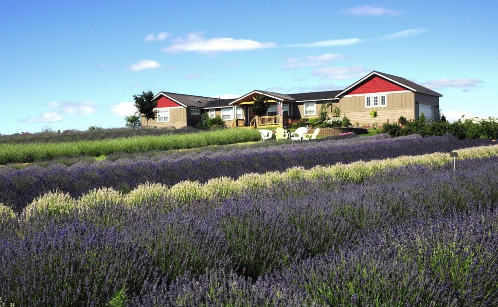Lavender Festivals, Summer 2026, Oregon, Things To Do, Family Fun, Road Trips, Best Lavender Farms, Cascade Lavender, Madras