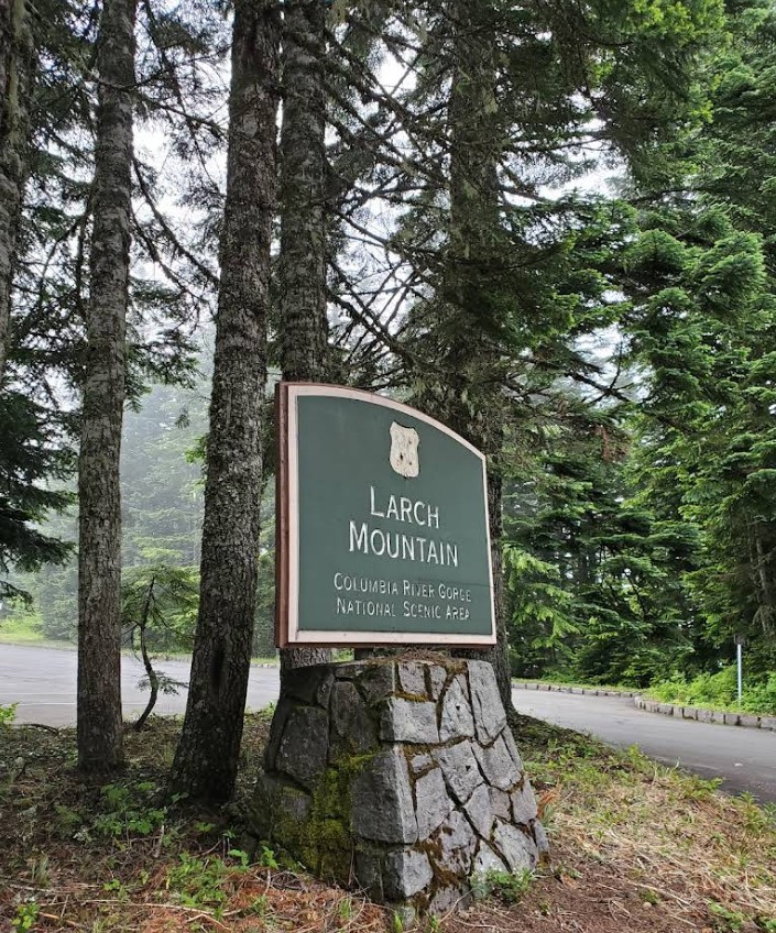 Larch Mountain, Columbia River Gorge, Oregon, Hiking, Stunning Views, Sherrard Point, Five Volcanoes, Mt. Hood Viewpoint, Family Fun, Things To Do, Places To Go