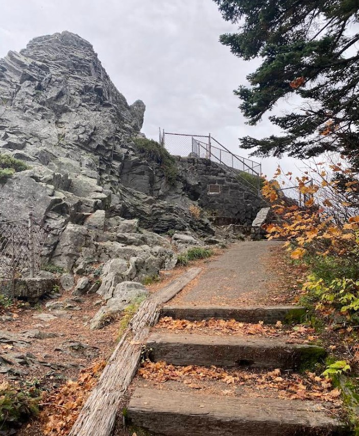 Larch Mountain, Columbia River Gorge, Oregon, Hiking, Stunning Views, Sherrard Point, Five Volcanoes, Mt. Hood Viewpoint, Family Fun, Things To Do, Places To Go