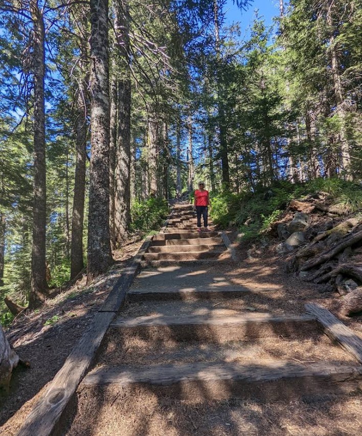 Larch Mountain, Columbia River Gorge, Oregon, Hiking, Stunning Views, Sherrard Point, Five Volcanoes, Mt. Hood Viewpoint, Family Fun, Things To Do, Places To Go