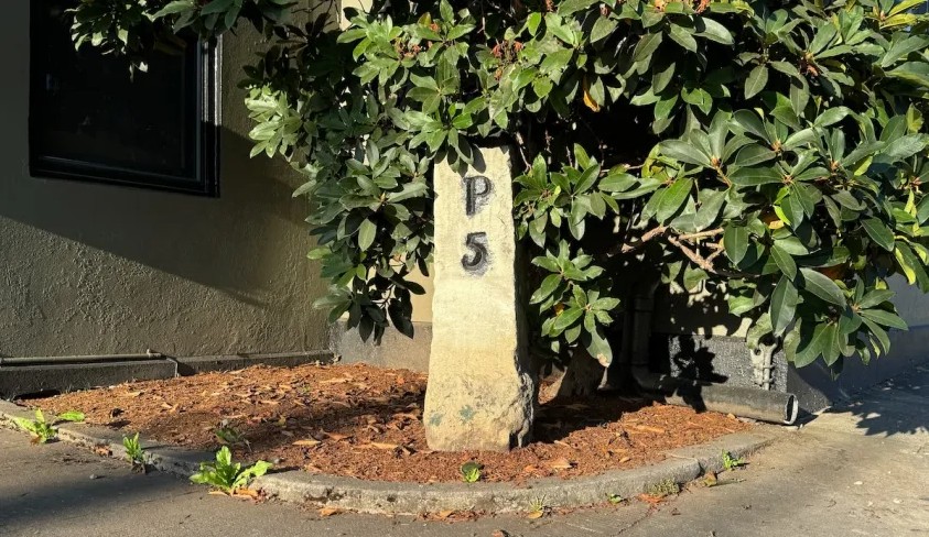 Willamette Stone, State Heritage Marker, Survey Marker, Base Line, Willamette Meridain, Portland West Hills, Oregon History, Washington State Heritage, Small Parks, Easy Forest Path, Mt. Calvary Cemetery, Stark Street Mile Markers, PDX Historical Site