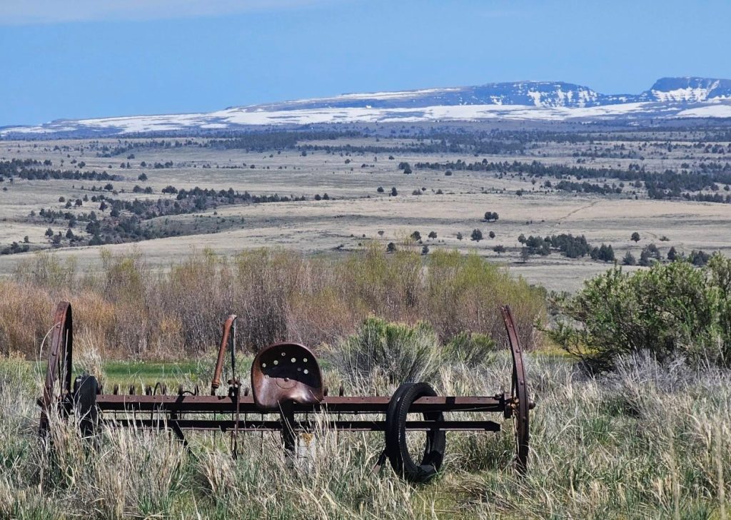 Department of Fish and Wildlife, BLM, Bureau of Land Management, New Hunting Proposal, IP28, Federal Government
