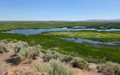 Feds Want Hunting Allowed on 95% of U.S. Wildlife Refuge Lands, And Oregon Is Right in the Middle of the Debate