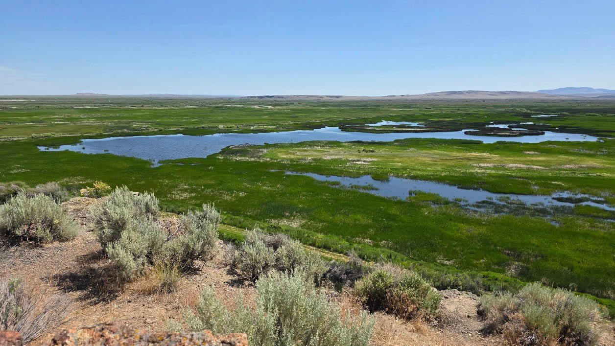 Screenshot 2026-05-28 164950–cover Department of Fish and Wildlife, BLM, Bureau of Land Management, New Hunting Proposal, IP28, Federal Government