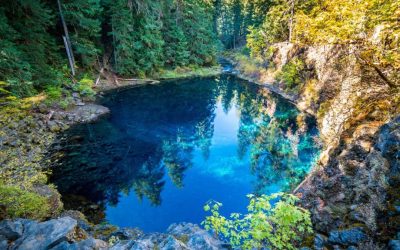 $3.4 Million to Redesign Tamolich Blue Pool Has Oregonians Asking One Question: Why?
