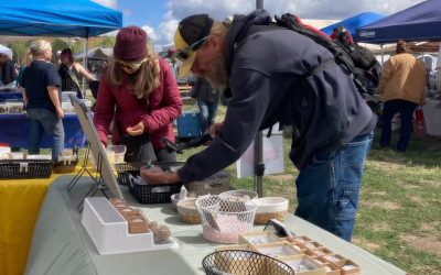This Massive Gem & Mineral Event in Prineville Is a Rockhound’s Dream Come True