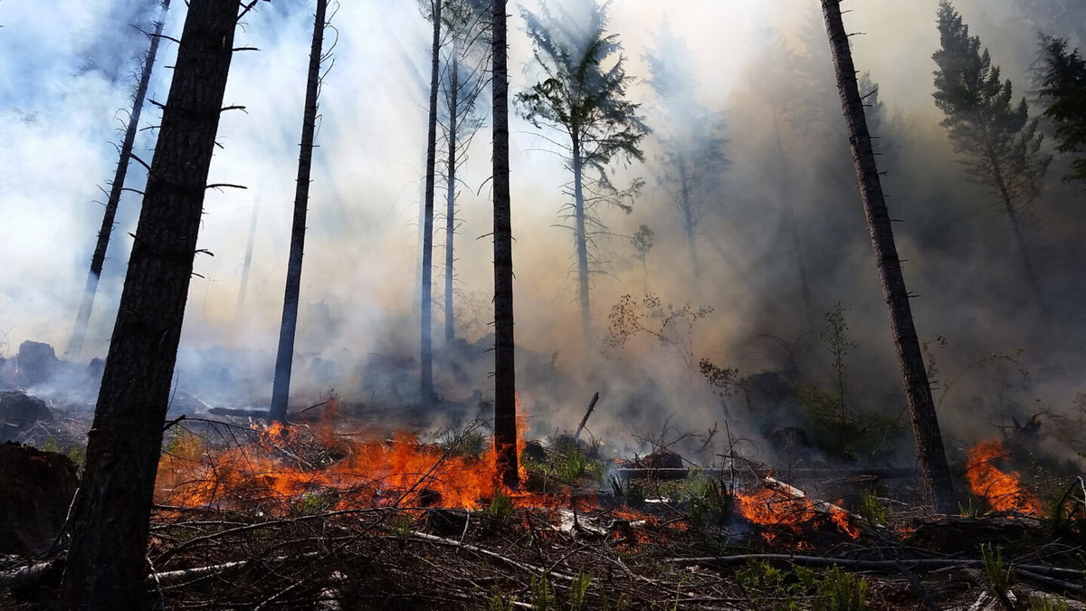 prescribed-burns.00_00_00_00.Still001-1440×810 Deschutes National Forest