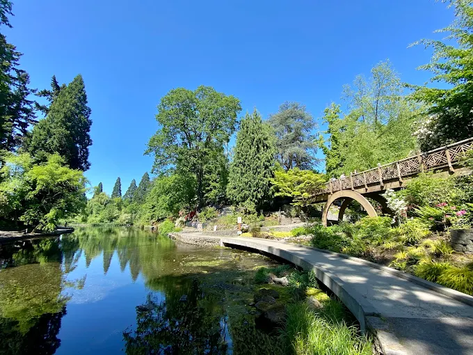 Beautiful springtime scenery at Crystal Springs Rhododendron Garden in Portland Oregon