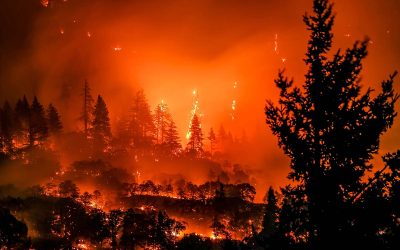 Oregon Firefighters Warn Trump Proposal to Repeal Forest Rule Could Raise Fire Risk