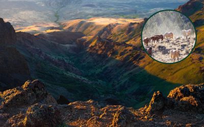 Oregon’s Highest Road Has Reopened for Summer With Wild Horses and Jaw-Dropping Desert Views