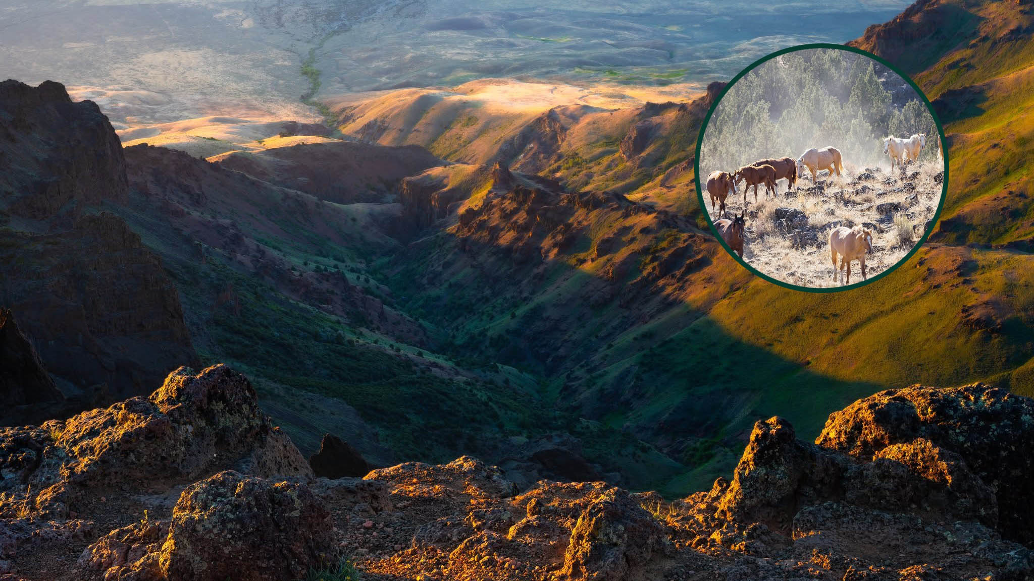 115885595_1941403472657701_429237615322941193_n–cover2 Steens Mountain Loop Road, Backcountry Byway, Open For Summer 2026, Rugged Road Trips, Natural Beauty, Eastern Oregon Adventures, Southeast, Alvord Desert, Kiger Mustangs, Kiger Gorge, East Rim Overlook, Things To Do, Frenchglen, Wildlife, Bird Watching, P-Ranch, Pete French Round Barn, Malheur National Wildlife Refuge, Scenic Drives, Riddle Brothers Ranch, Alpine Lakes, Hiking