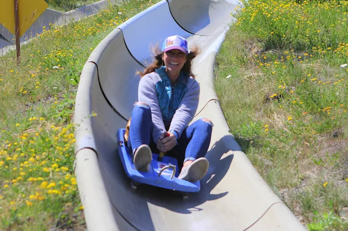 Dual Alpine Slide at Mt. Hood Skibowl