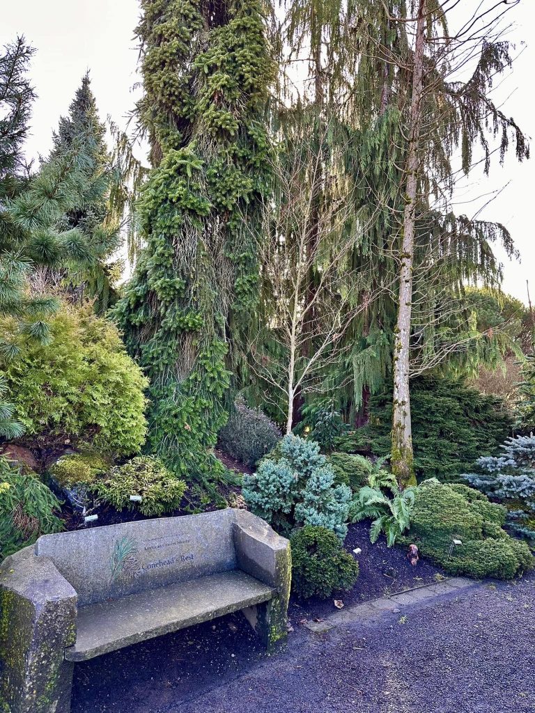 A stone bench surrounded by trees and bushes at the Oregon Garden. It looks like a peaceful place to sit.
