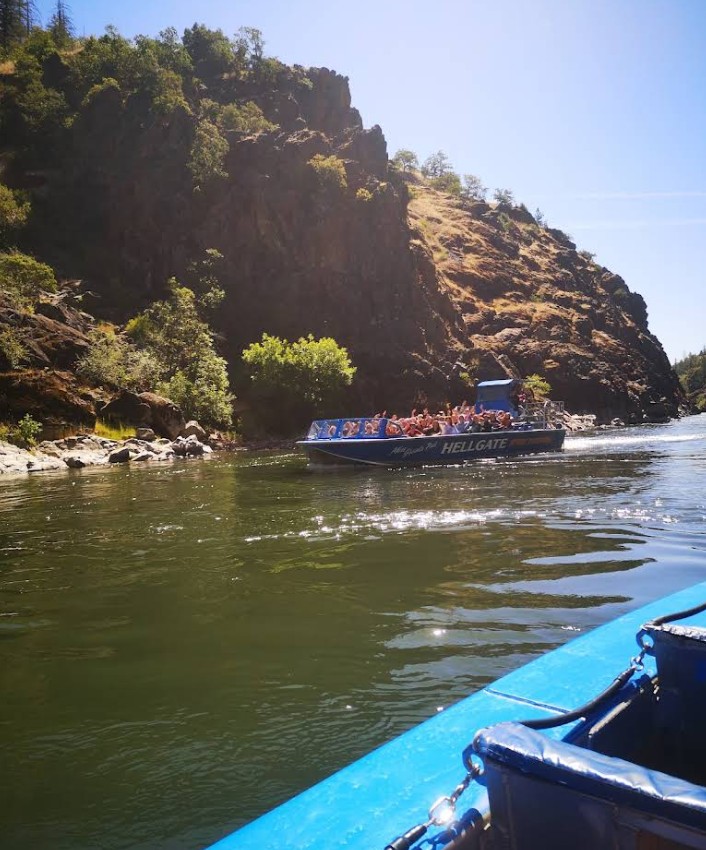 hellgate jet boat excursions, visit grants pass, oregon adventures, rogue river, southern oregon, family fun, summer vacation, road trips, dinner tour, where to go, things to do, wildlife, adrenaline fuel, lulu's cafe, cathedral hills hiking, riverside inn, hellgate river lodge, in-n-out burger