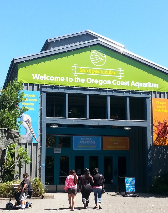 Oregon Coast Aquarium, Newport, Yaquina Bay, Animals, Fish, New Amazon Rainforest Exhibit, conservation, places to go, things to do, family fun, Puffin Plates, shark tank, reptiles, birds, otters, jellyfish, touch tank, summer fun, sea lions, Sis-Xa Xwee-Nish Marine Wildlife Center