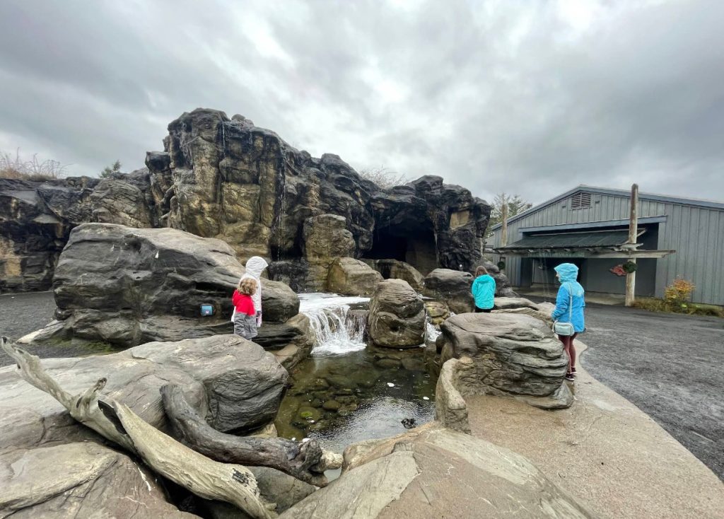 Oregon Coast Aquarium, Newport, Yaquina Bay, Animals, Fish, New Amazon Rainforest Exhibit, conservation, places to go, things to do, family fun, Puffin Plates, shark tank, reptiles, birds, otters, jellyfish, touch tank, summer fun, sea lions, Sis-Xa Xwee-Nish Marine Wildlife Center