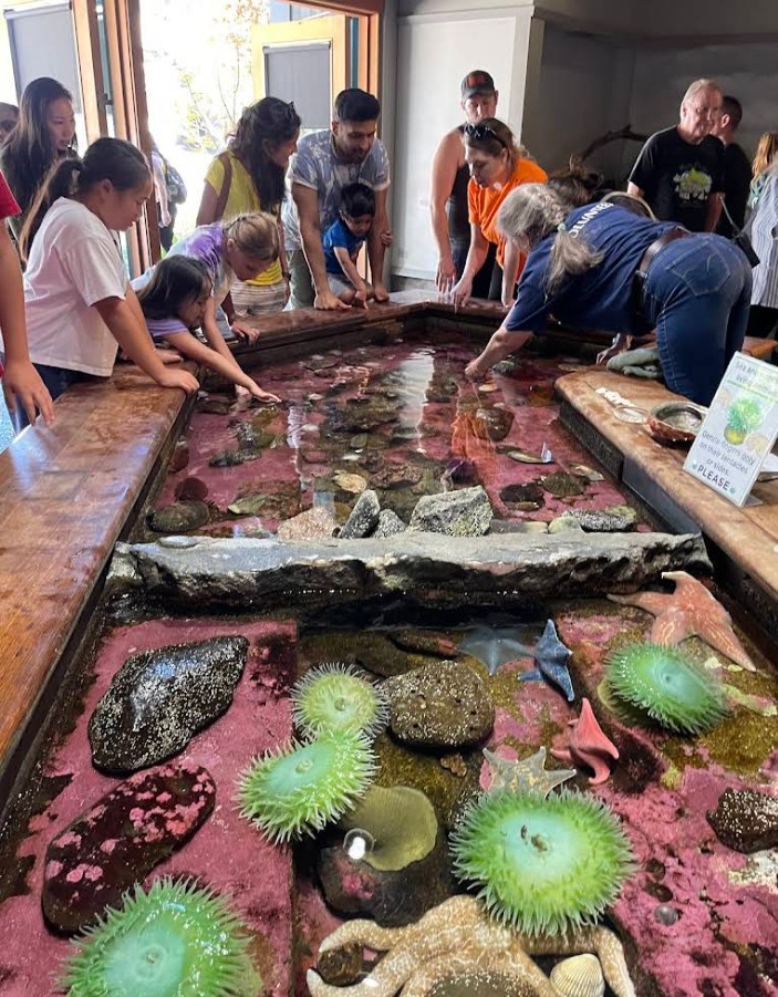 Oregon Coast Aquarium, Newport, Yaquina Bay, Animals, Fish, New Amazon Rainforest Exhibit, conservation, places to go, things to do, family fun, Puffin Plates, shark tank, reptiles, birds, otters, jellyfish, touch tank, summer fun, sea lions, Sis-Xa Xwee-Nish Marine Wildlife Center
