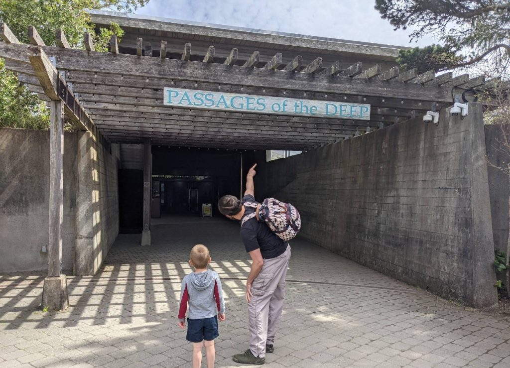 Oregon Coast Aquarium, Newport, Yaquina Bay, Animals, Fish, New Amazon Rainforest Exhibit, conservation, places to go, things to do, family fun, Puffin Plates, shark tank, reptiles, birds, otters, jellyfish, touch tank, summer fun, sea lions, Sis-Xa Xwee-Nish Marine Wildlife Center
