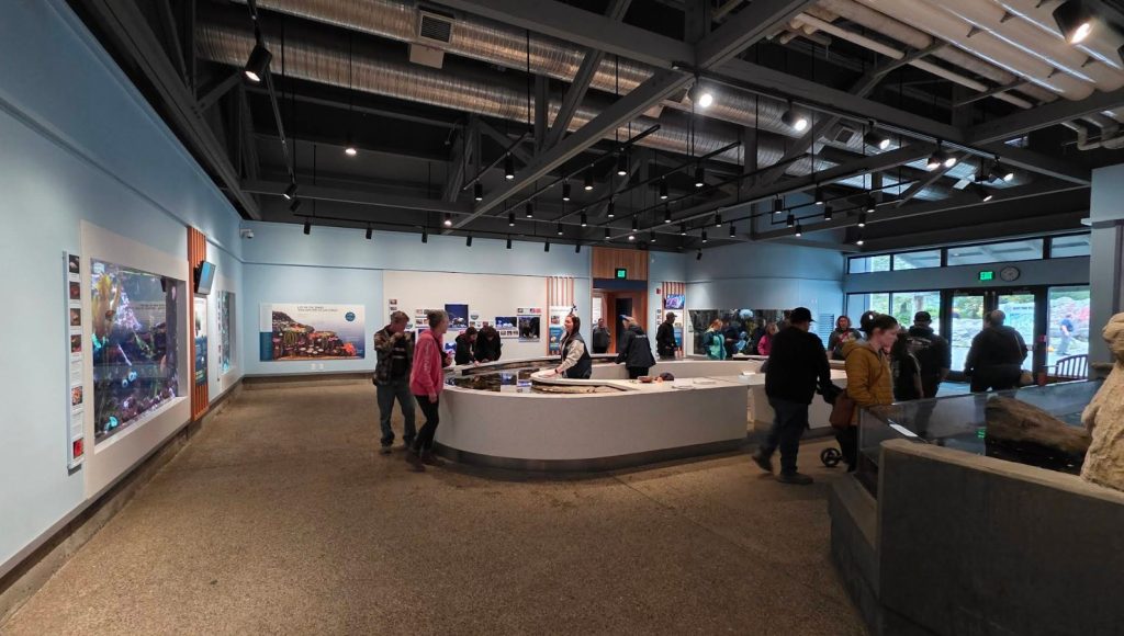 Oregon Coast Aquarium, Newport, Yaquina Bay, Animals, Fish, New Amazon Rainforest Exhibit, conservation, places to go, things to do, family fun, Puffin Plates, shark tank, reptiles, birds, otters, jellyfish, touch tank, summer fun, sea lions, Sis-Xa Xwee-Nish Marine Wildlife Center