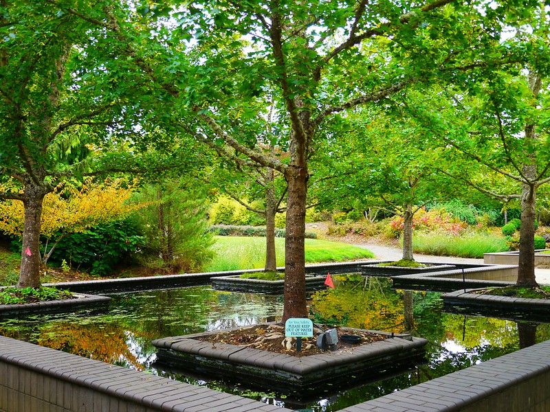 A pond with square edges and trees at the Bosque Garden.