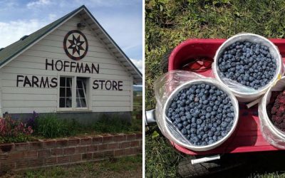 This Oregon Family Farm Lets You Pick Berries for Just $2.50 and Take Home Homemade Pie