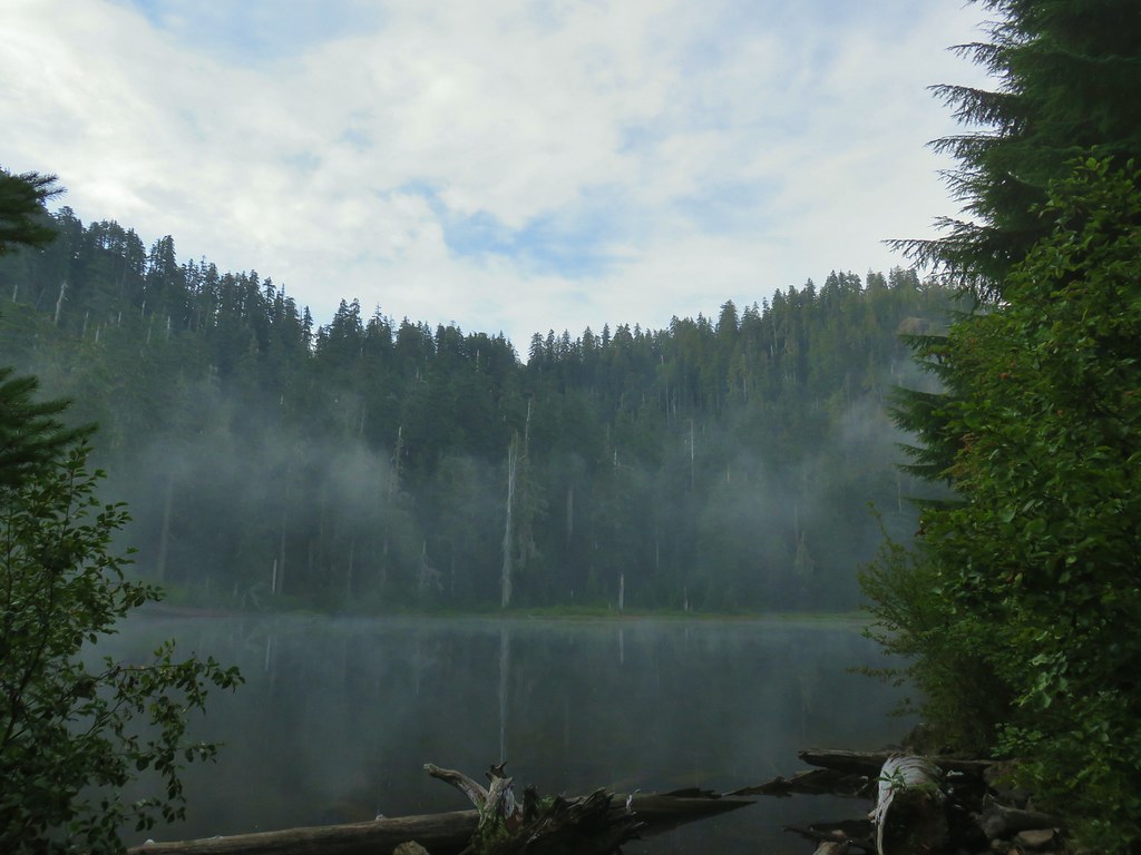 crabtree lake, oregon cascades, ancient forest, old growth, giant douglas fir trees, nefertiti, king tut, off trail hiking, not for beginners, conservation, threatened forest, wilderness hikes, santiam state forest, 600-1000 years old