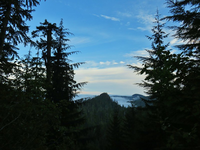 crabtree lake, oregon cascades, ancient forest, old growth, giant douglas fir trees, nefertiti, king tut, off trail hiking, not for beginners, conservation, threatened forest, wilderness hikes, santiam state forest, 600-1000 years old