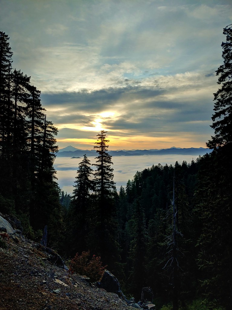 crabtree lake, oregon cascades, ancient forest, old growth, giant douglas fir trees, nefertiti, king tut, off trail hiking, not for beginners, conservation, threatened forest, wilderness hikes, santiam state forest, 600-1000 years old, mt. jefferson