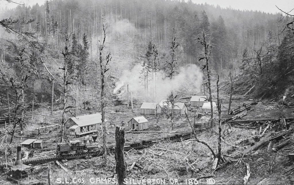 Crabtree Valley Oregon, Part Two, King Tut, Nefertiti, Douglas Fir, Timber Industry, BLM, Bureau of Land Management, Ancient Forest, Logging Industry, Spotted Owl, Oregon Economy, Mills Closing, Barred Owl, Northwest Forest Plan, Areas of Critical Environmental Concern, Conservation