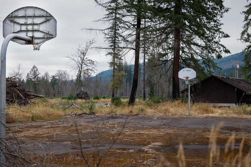 Crabtree Valley Oregon, Part Two, King Tut, Nefertiti, Douglas Fir, Timber Industry, BLM, Bureau of Land Management, Ancient Forest, Logging Industry, Spotted Owl, Oregon Economy, Mills Closing, Barred Owl, Northwest Forest Plan, Areas of Critical Environmental Concern, Conservation, Wildfire