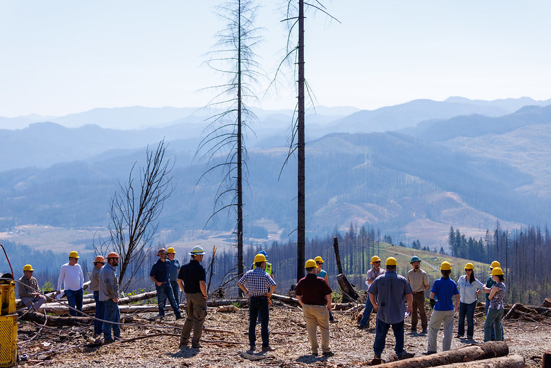 Crabtree Valley Oregon, Part Two, King Tut, Nefertiti, Douglas Fir, Timber Industry, BLM, Bureau of Land Management, Ancient Forest, Logging Industry, Spotted Owl, Oregon Economy, Mills Closing, Barred Owl, Northwest Forest Plan, Areas of Critical Environmental Concern, Conservation