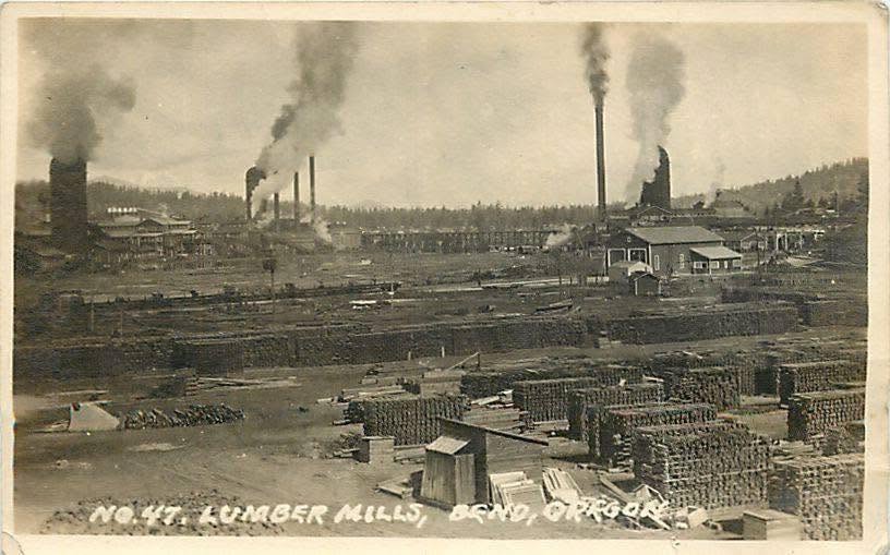 Crabtree Valley Oregon, Part Two, King Tut, Nefertiti, Douglas Fir, Timber Industry, BLM, Bureau of Land Management, Ancient Forest, Logging Industry, Spotted Owl, Oregon Economy, Mills Closing, Barred Owl, Northwest Forest Plan, Areas of Critical Environmental Concern, Conservation