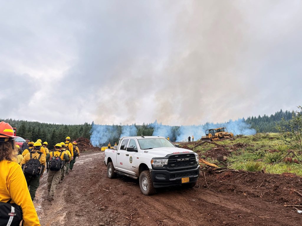 Crabtree Valley Oregon, Part Two, King Tut, Nefertiti, Douglas Fir, Timber Industry, BLM, Bureau of Land Management, Ancient Forest, Logging Industry, Spotted Owl, Oregon Economy, Mills Closing, Barred Owl, Northwest Forest Plan, Areas of Critical Environmental Concern, Conservation, Wildfire