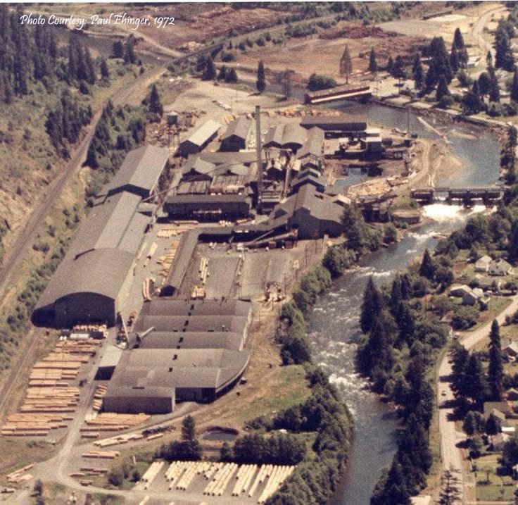 Crabtree Valley Oregon, Part Two, King Tut, Nefertiti, Douglas Fir, Timber Industry, BLM, Bureau of Land Management, Ancient Forest, Logging Industry, Spotted Owl, Oregon Economy, Mills Closing, Barred Owl, Northwest Forest Plan, Areas of Critical Environmental Concern, Conservation