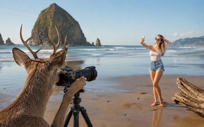 Local Deer Photographs Goofy Human Taking 47th Identical Selfie Of The Morning