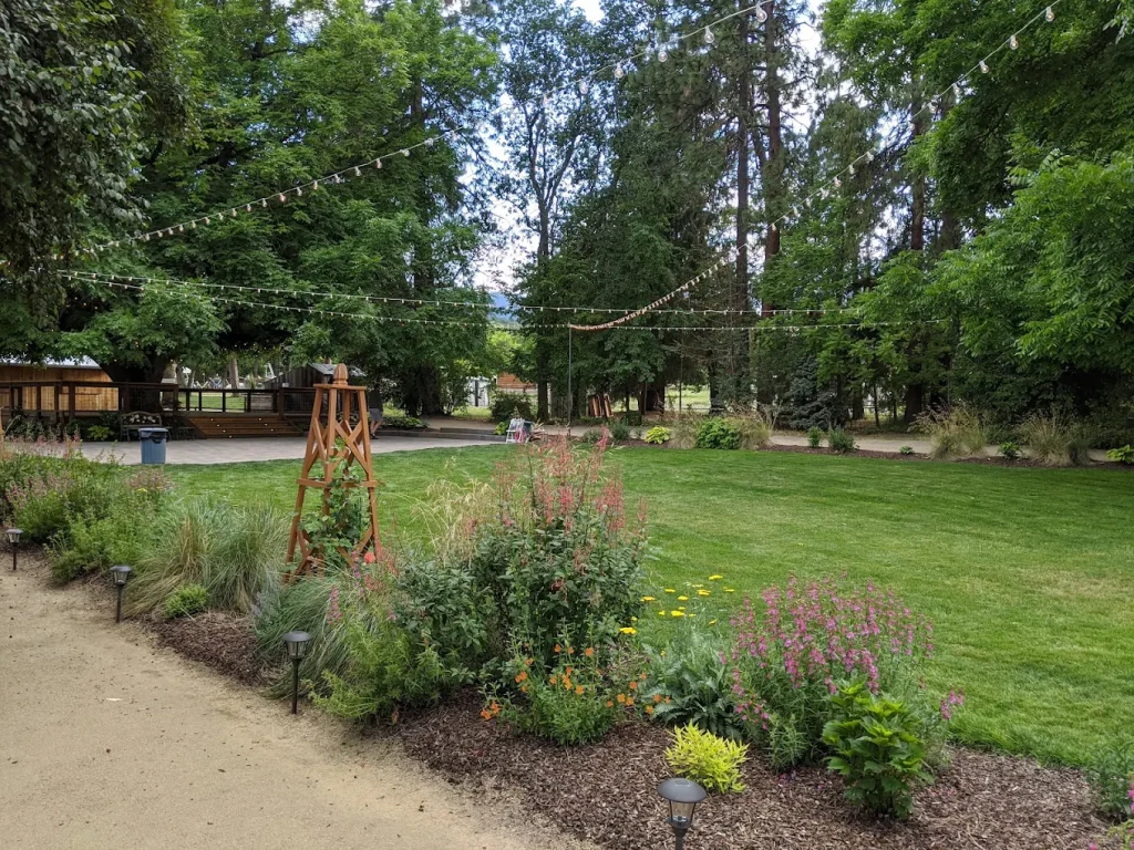 The concert venue. It's a grassy area surrounded by trees and flowers, with white lights strung overhead.