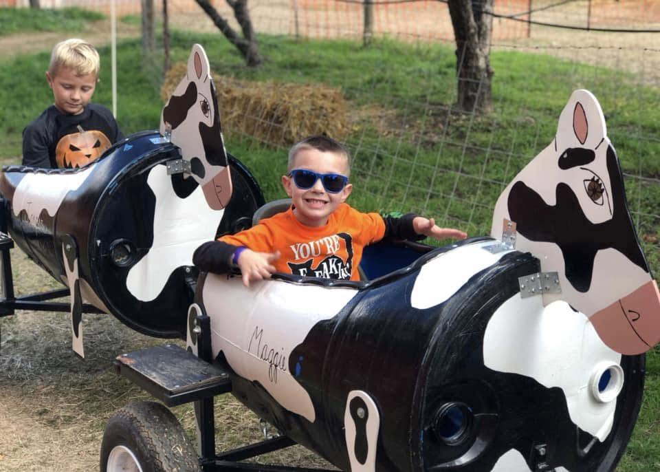 Children sit in the cow train cars.