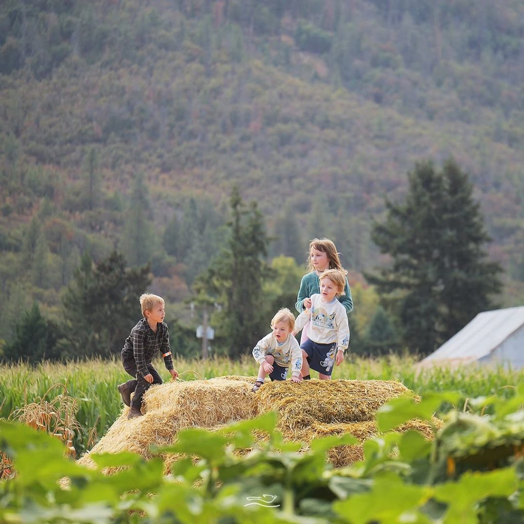 Children climb on the hay pyramid in the fall.