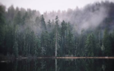 Deep in Oregon’s Cascades, Two 800-Year-Old Giants Stand Watch Over A Hidden Lake