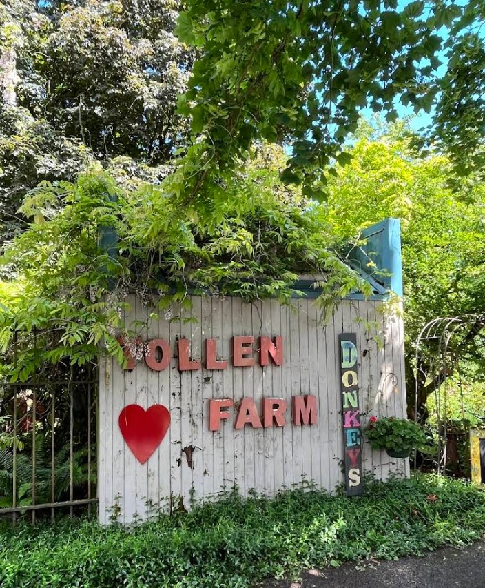 Tollen Farm, wilsonville oregon, willamette valley, miniature donkeys, farm tours, family fun, things to do, places to go, mini horses, working farm, gardens, orchard, animals, activities for kids, antique shop, by appointment